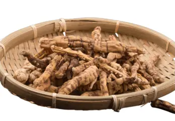 백수오 효능 및 영양성분&amp;#44; 주의점