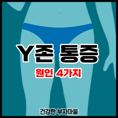 Y존 통증
