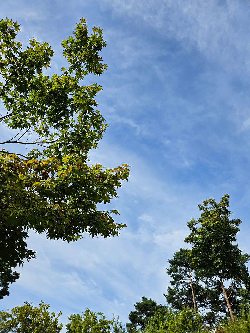 광교호수공원 가족캠핑장 전경9