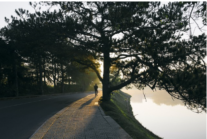 외계 생명체는 존재할까? 과학과 상상이 만나는 지점