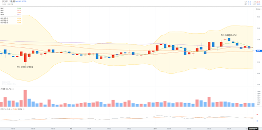 슈뢰딩거 약 3개월의 일 봉 데이터