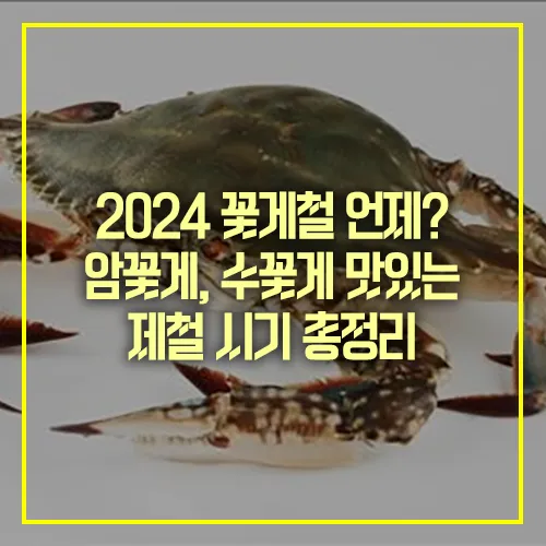 꽃게철 암꽃게 수꽃게 맛있는 제철시기