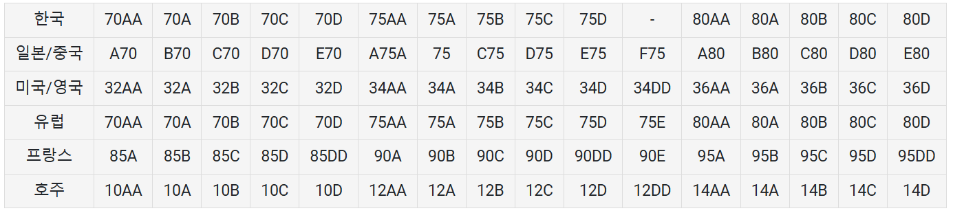 여자 해외 브레지어 사이즈 비교표