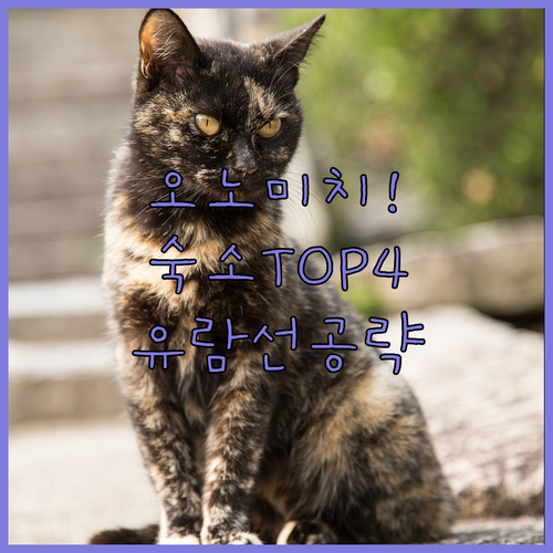 일본 미하라 오노미치 숙소 추천 TO..