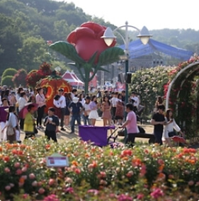 울산 꽃축제