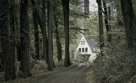 청년 월세 지원금