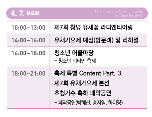 창녕 낙동강 유채꽃 축제 