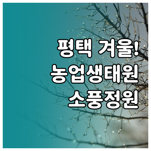 아이와 함께 가기 좋은 평택 겨울 여..