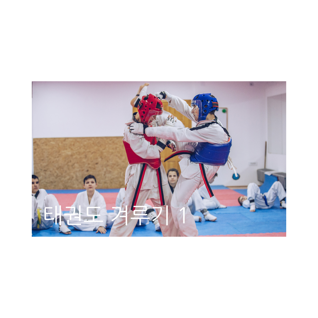 태권도 겨루기 1