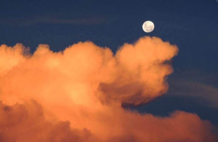 정월대보름 전통음식, 현대적 재해석