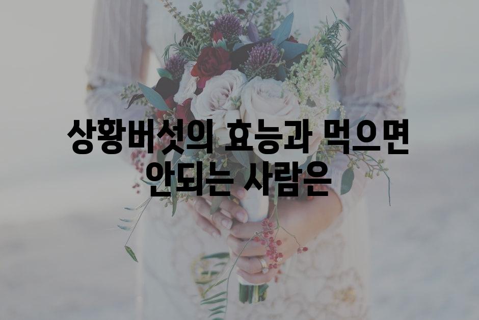 샘플 (66)