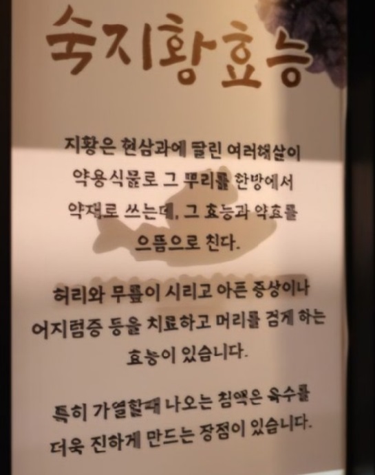숙지황효능