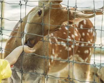 서울숲 공원 주차장19