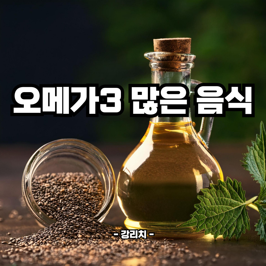 오메가3 많은 음식