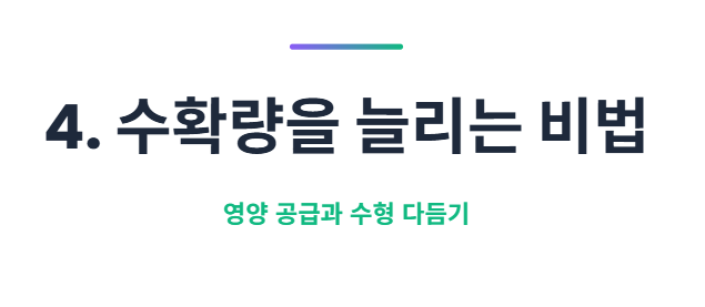 블루베리 키우기