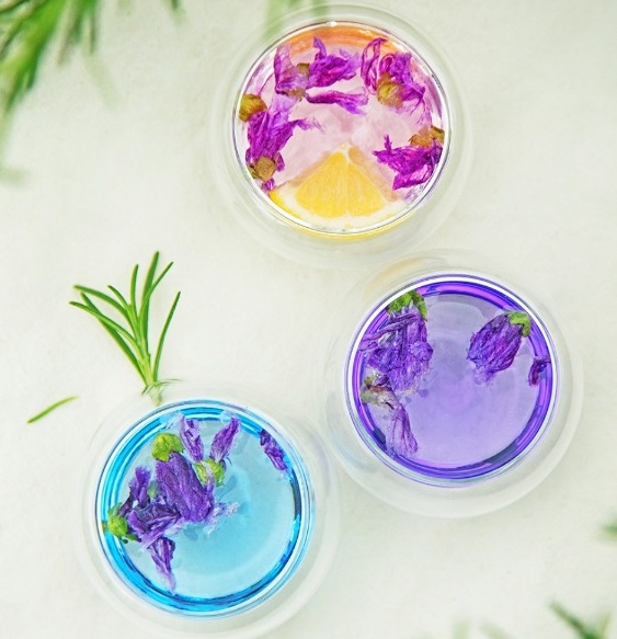 생생정보-창원-꽃차-하늘바라기