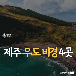 제주 우도 비경 4곳