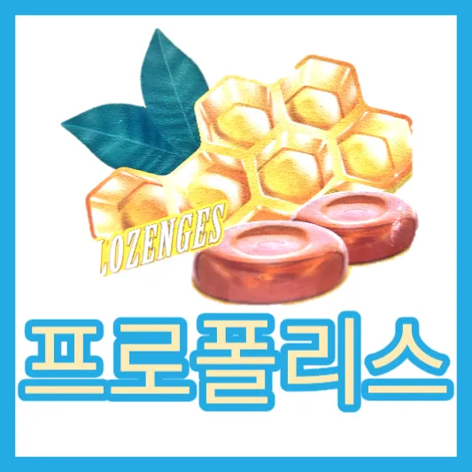 코스트코 제품 추천 트루 블루 프로폴리스 마누카 허니 캔디 효능 가격 칼로리