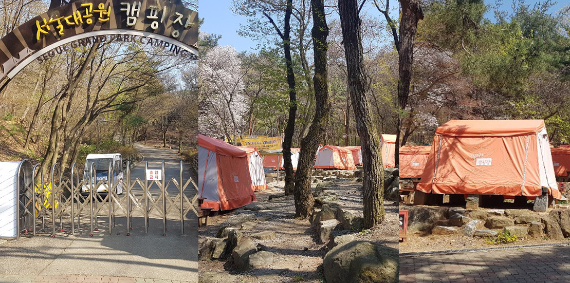 서울대공원 캠핑장 이미지