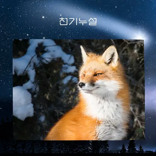 여우가 등장하는 꿈 해몽