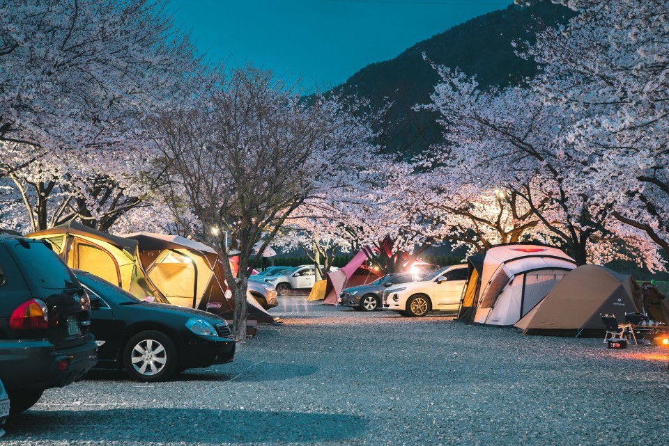 밀양 패밀리 캠핑장 후기