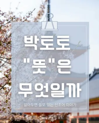 박토토 뜻 박충섭 시네마천국 뜻_2