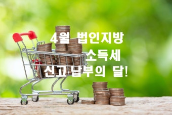 법인지방소득세 신고