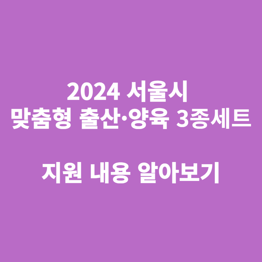서울시 맞춤형 출산&middot;양육 3종세트