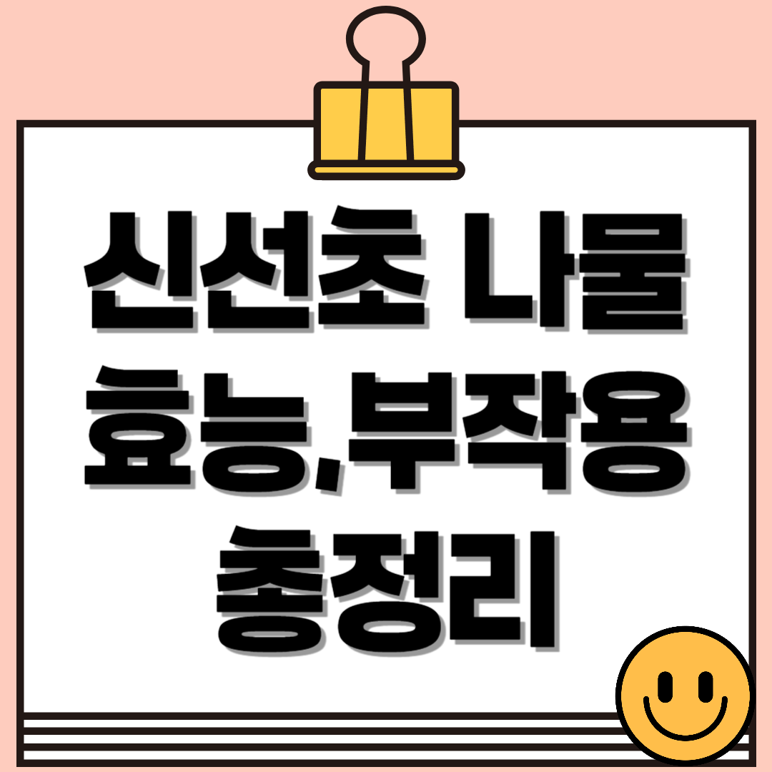 신선초 나물 효능부터 부작용, 안전한 먹는 법까지 한눈에 정리