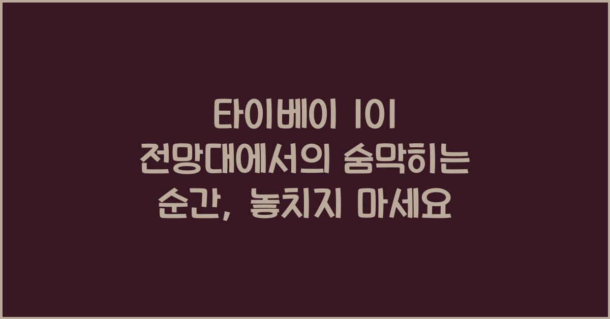 타이베이 101 전망대