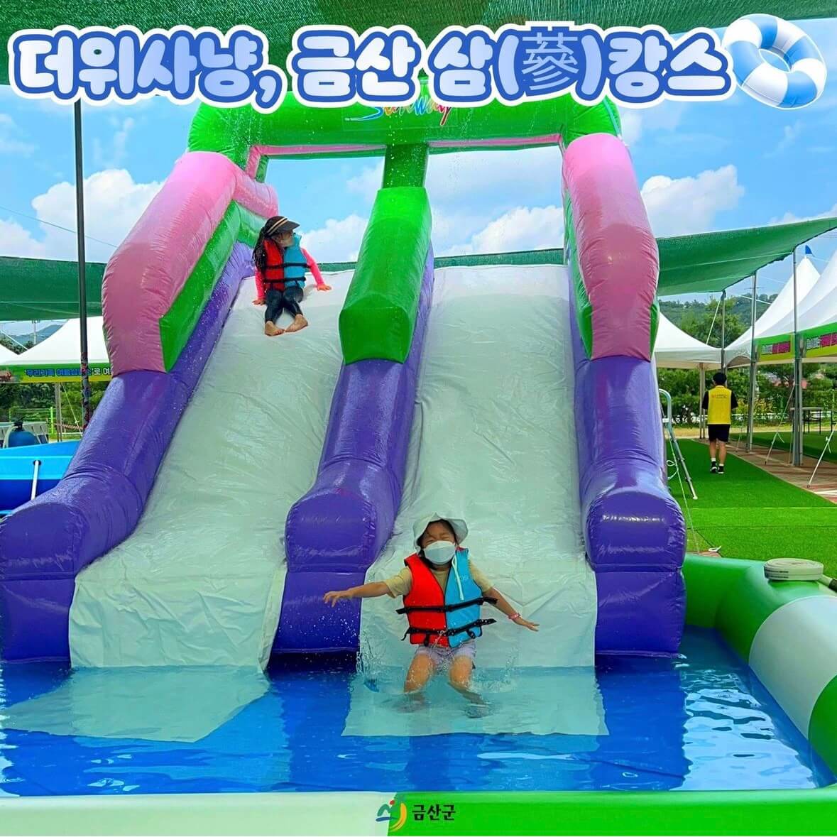 금산 삼계탕 축제