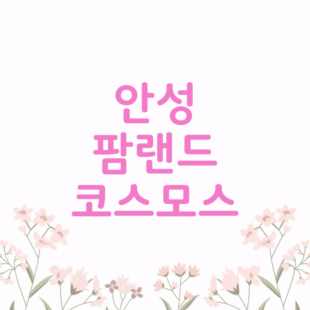 안성팜랜드 코스모스 꽃구경