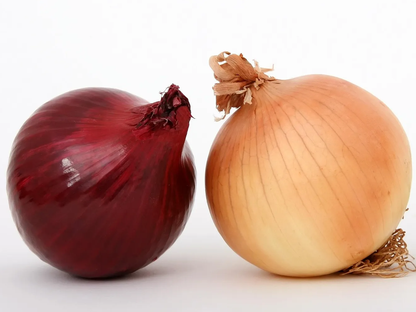 혈당 보조 양파 효능