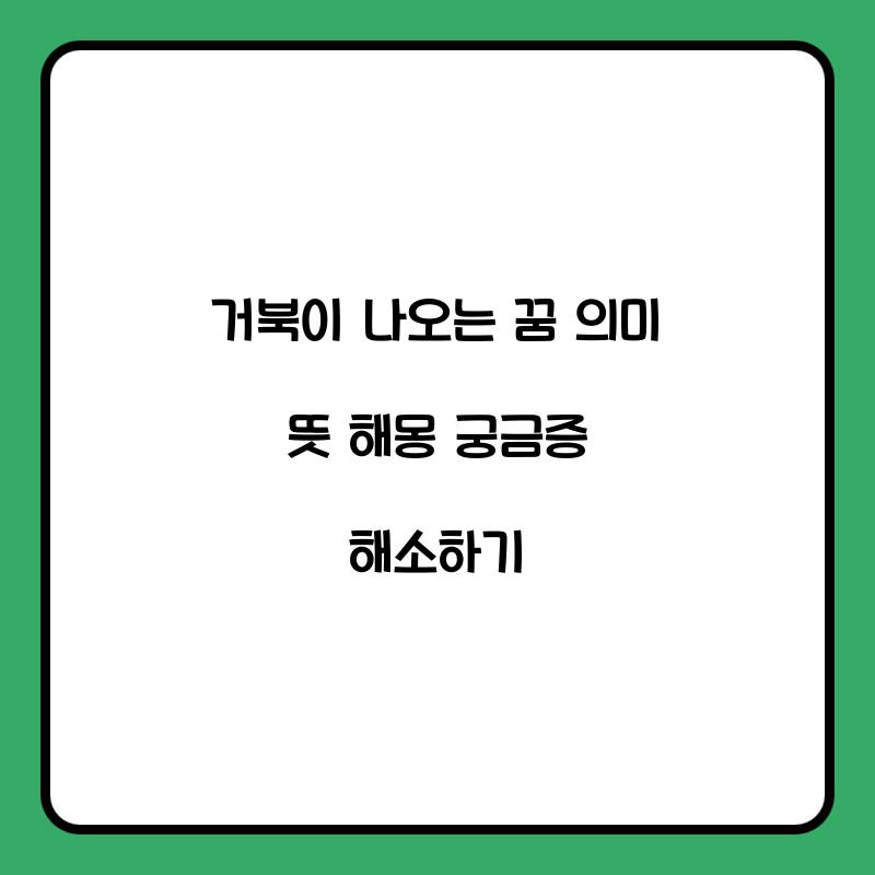 거북이 나오는 꿈 의미 뜻 해몽