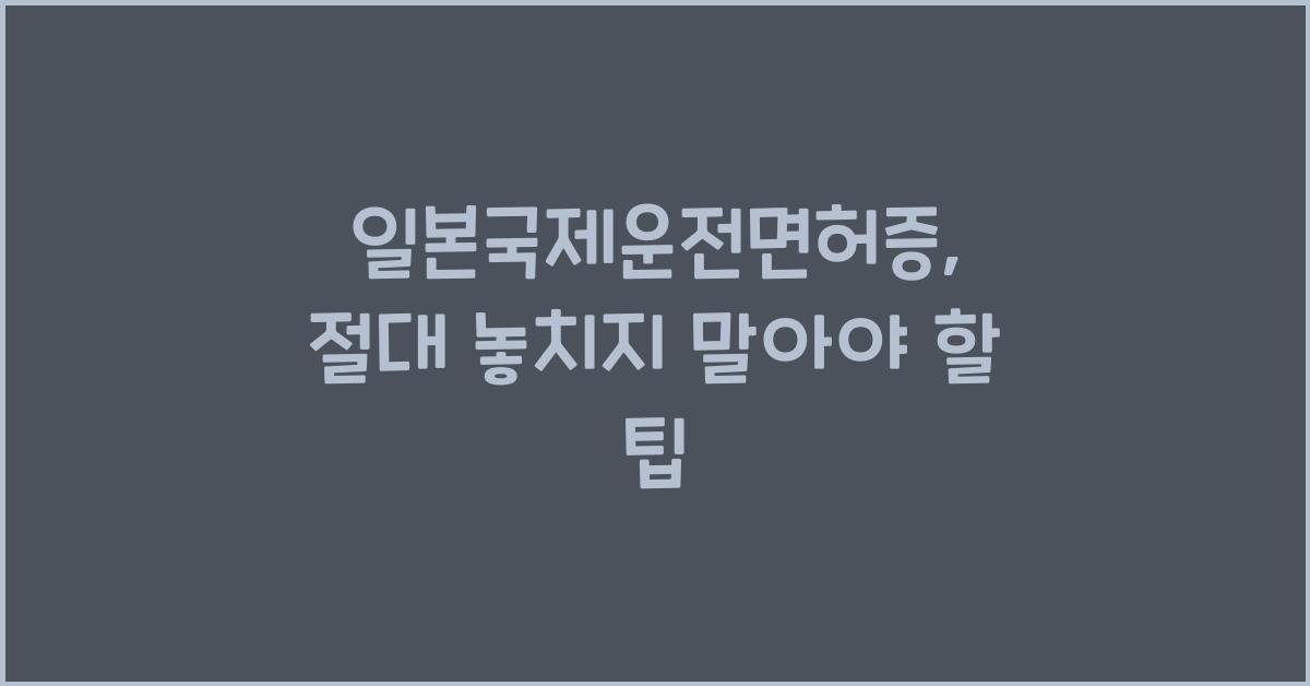 일본국제운전면허증