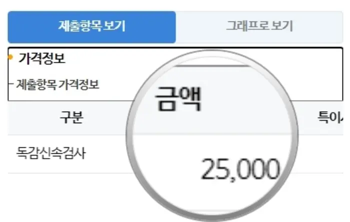 A형 독감 검사 비용