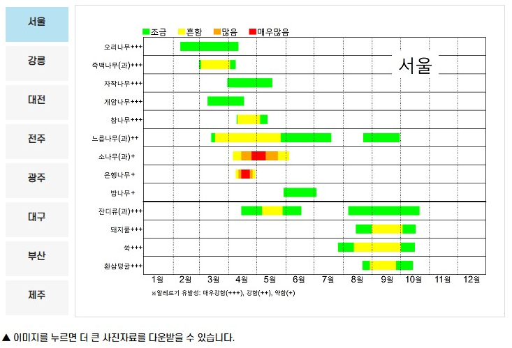 꽃가루 달력