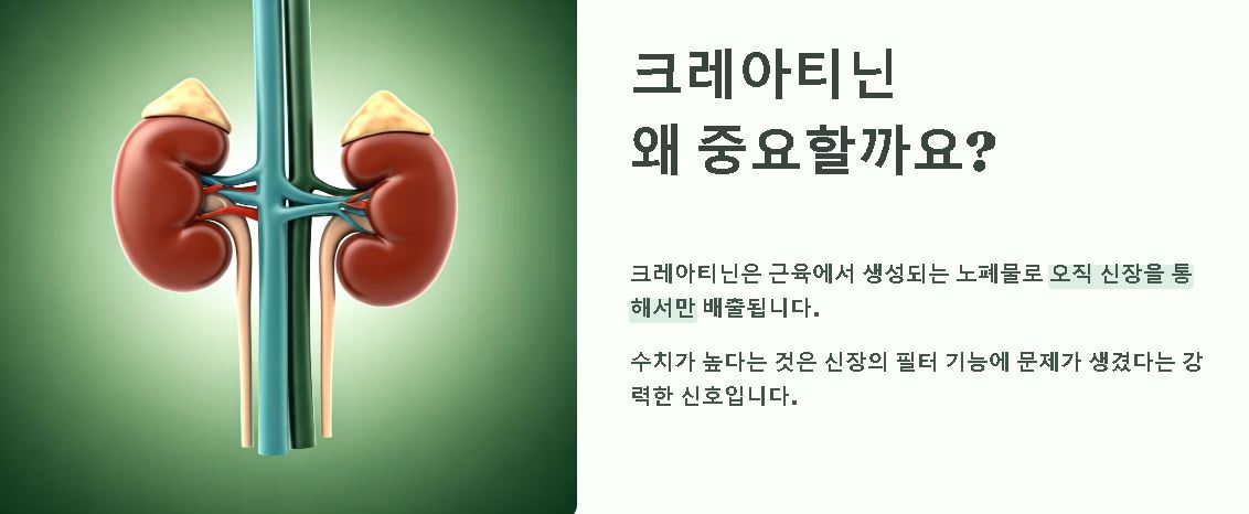 크레아티닌 수치가 높으면