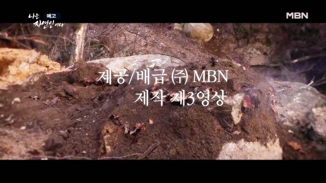 나는 자연인이다 당뇨합병증 심정지 건강 되찾은 후 산양삼 냉이 흙밟으며 맨발걷기 계곡물 자연인 원영철 소개 및 이승윤 출연 600회 다시보기