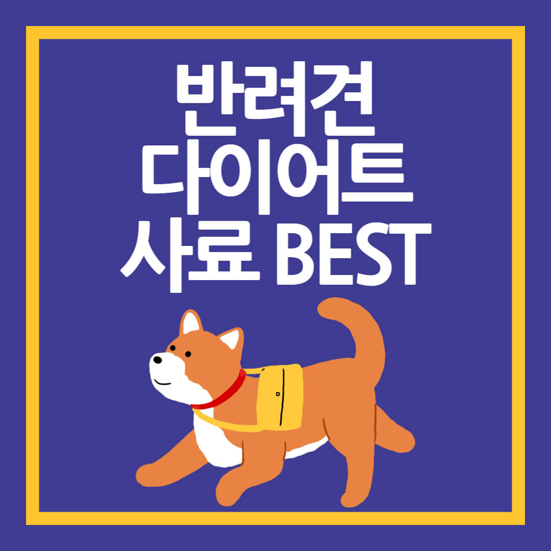 강아지 다이어트 사료