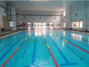 강남구 체육시설 운동 종목