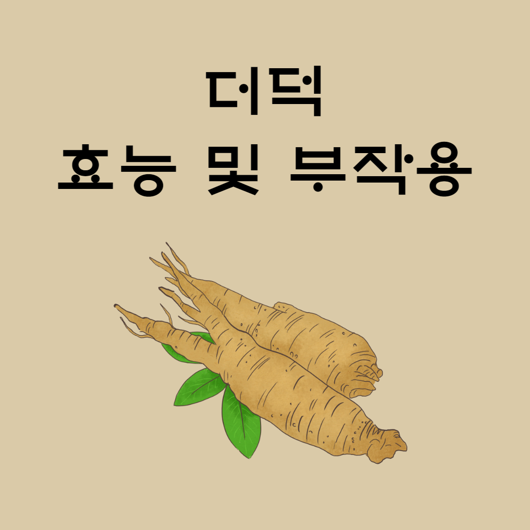 더덕 효능 부작용