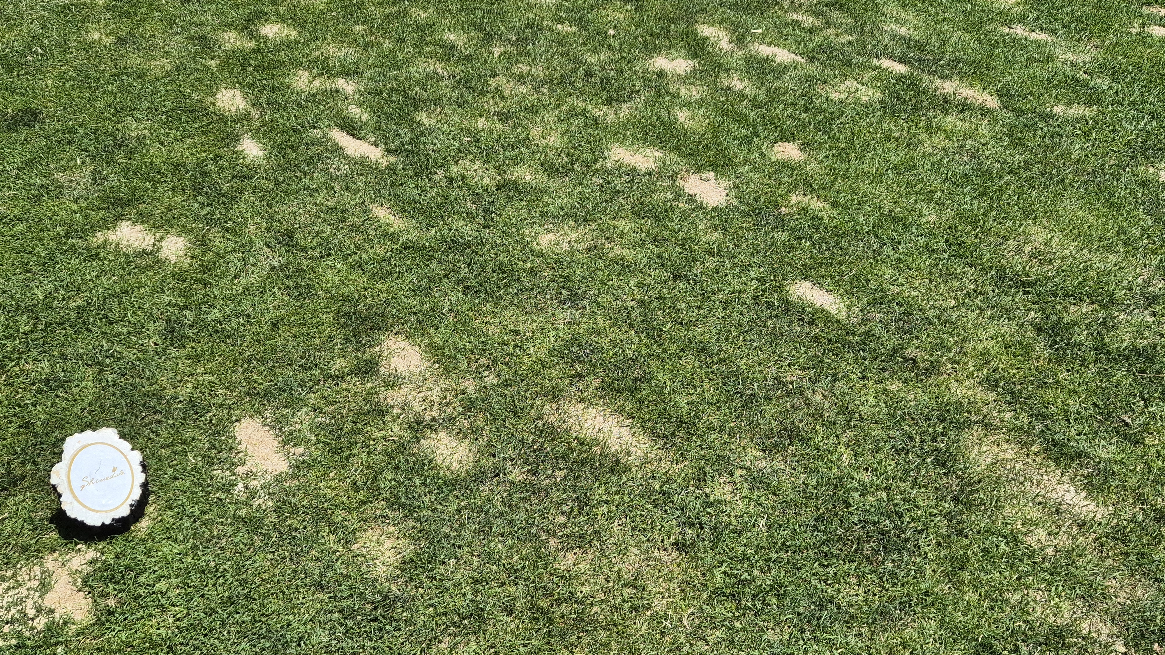 샤인데일cc 라운드 후기