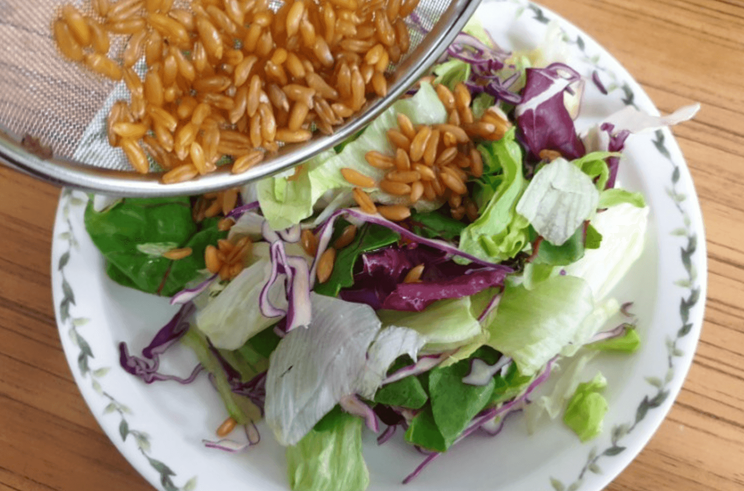 카무트 효소 먹는 방법