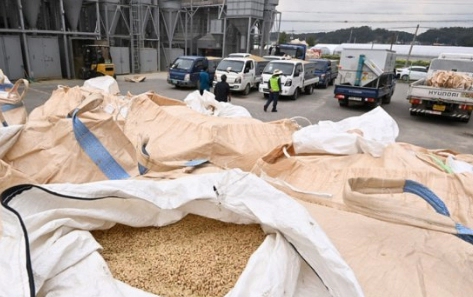 양곡법이란 양곡법 거부 이유