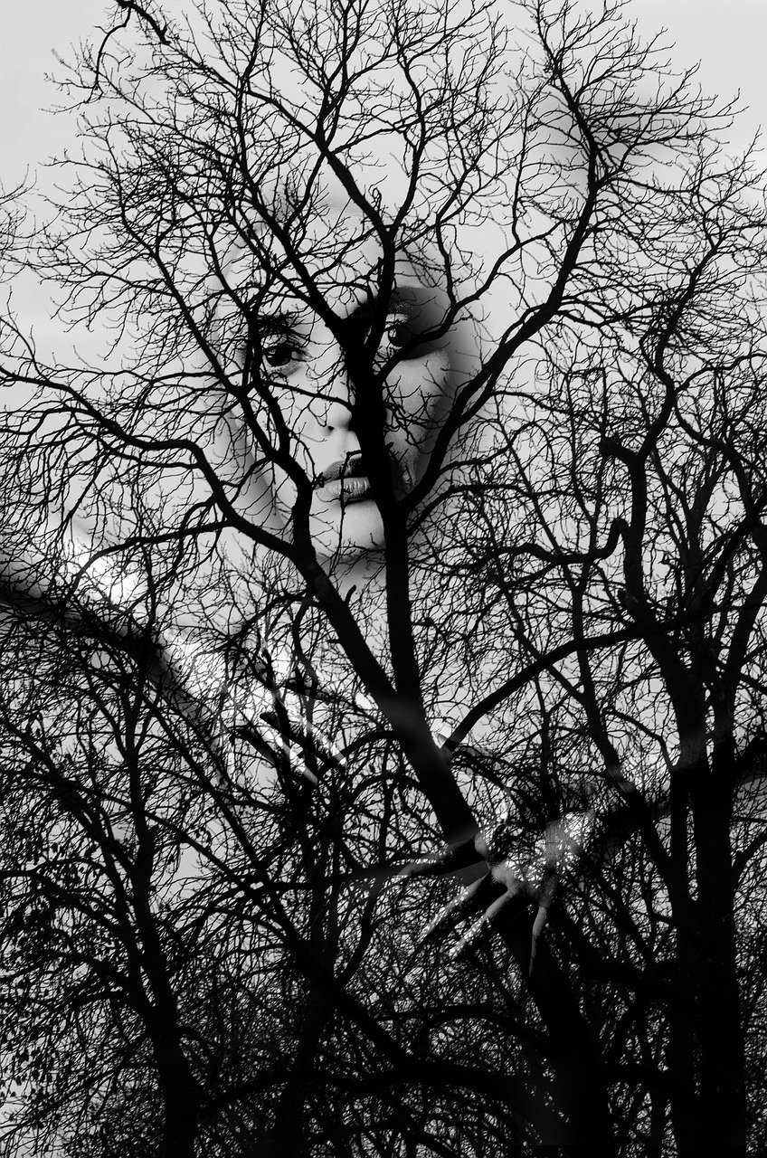 한국 vs 일본 공포영화 관련 사진