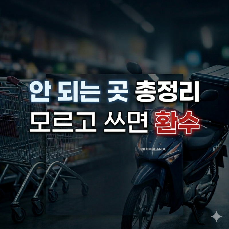 민생지원금 사용처 환수