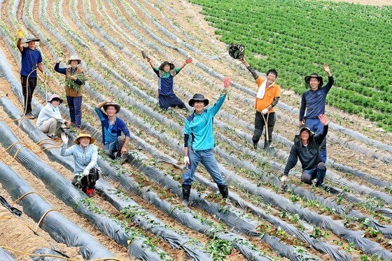 농지 취득세 감면