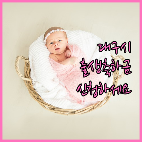 놓치면 손해 2025 대구시 둘째아 ..