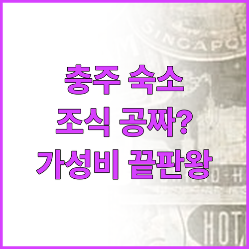 충주 숙소 추천 가성비 좋은 신축 호..